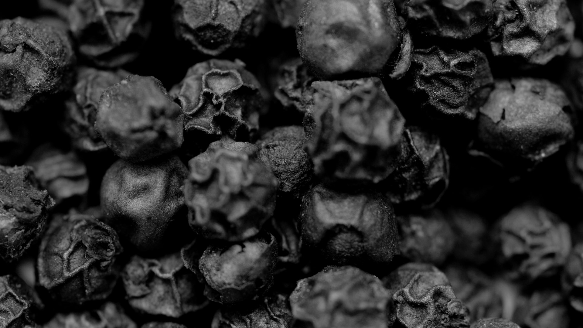 Comme des Garçons: Black Pepper, an organic-shaped proposal